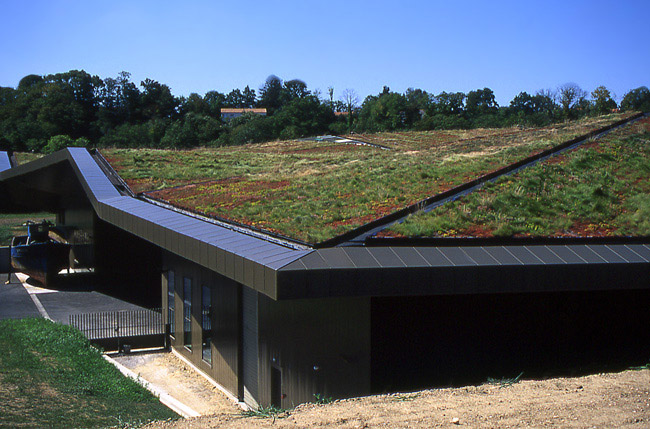 Green_Roof