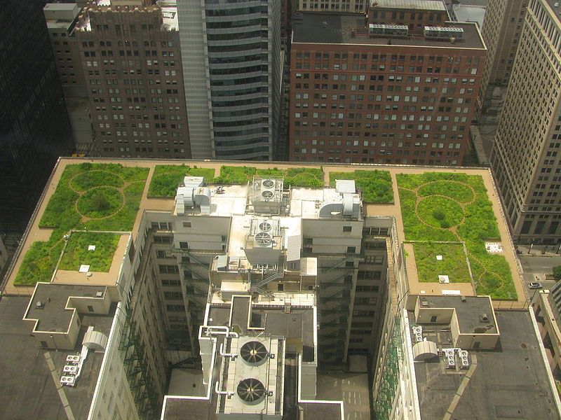 Lesson_Plan_GreenRoof2