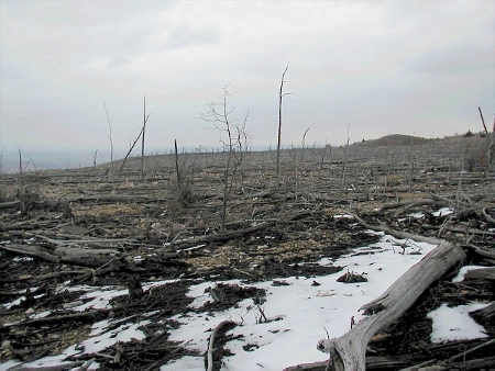 Palmerton Desolation by Charles Danforth