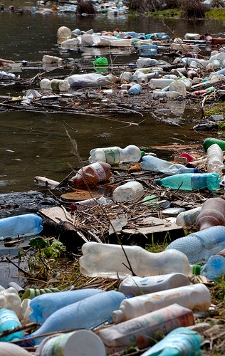 Plastic bottles and garbage on the bank of a river by Horia Varlan (Flickr Commons)