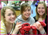 Students Dissecting Pig Hearts