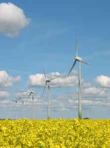 752410_windmills_and_yellow_field