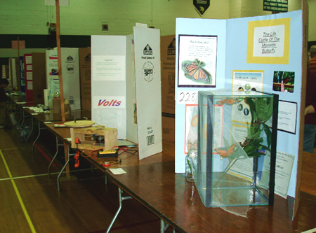 Science Fair Set-up