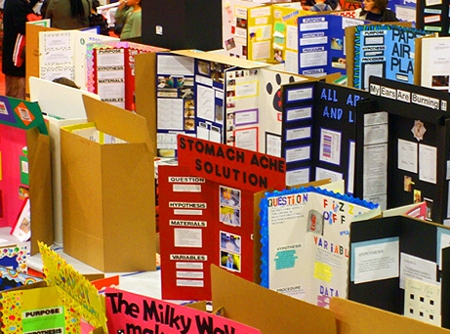 Science fair