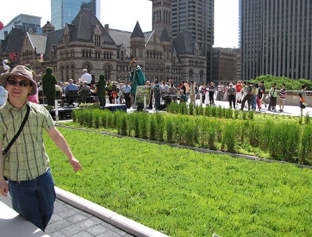 Toronto Green Roof