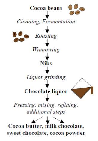 chocolate processing