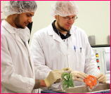 food safety techs