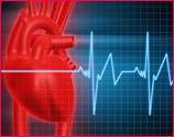 heart illustration with EKG chart