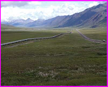 Trans-Alaska pipeline