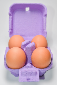 egg carton purple