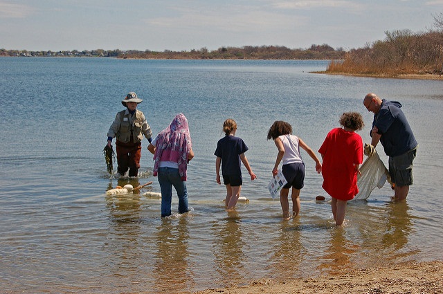 environmental education seining