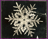 William Bentley snowflake image