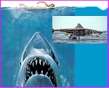 Jaws poster plus mechanical shark